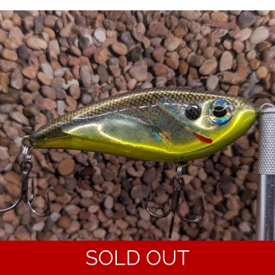 Shad/Chart belly
